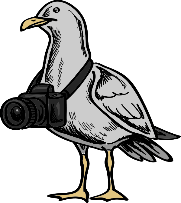 Kamera Möwe.png
